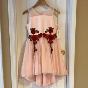 Girls Nanette Lepore dress size 14